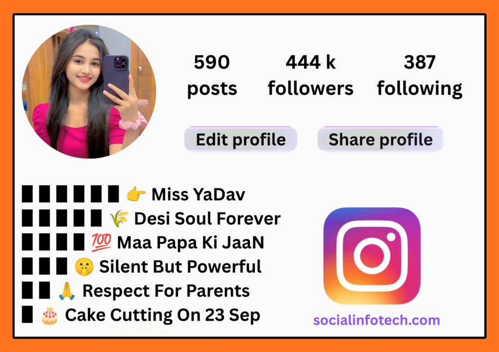 Bihari Bio For Instagram