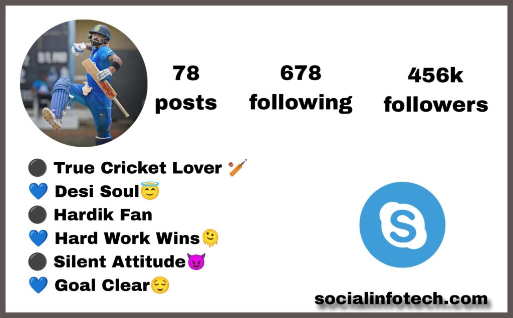 Best 70+ Cricket Instagram Bio