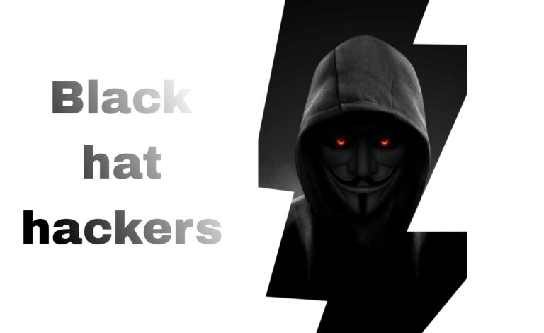 Types of Hackers in 2026 | white hat hackers