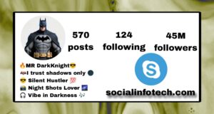 Best 209+ Batman Bio For Instagram For Boy