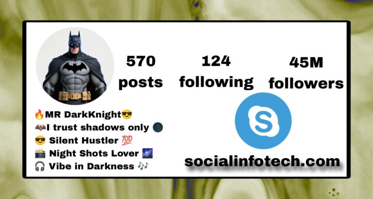 Best 209+ Batman Bio For Instagram For Boy