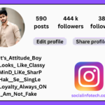 Badmashi Bio for Instagram