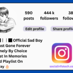 Sad Bio For Instagram